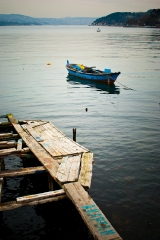 SONY DSC